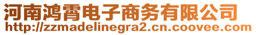 河南鸿霄电子商务有限公司