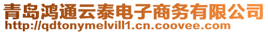 青岛鸿通云泰电子商务有限公司