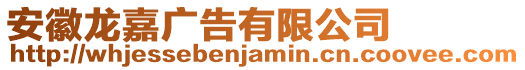 安徽龍嘉廣告有限公司