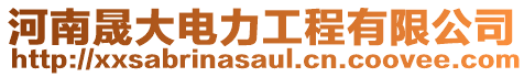 河南晟大電力工程有限公司