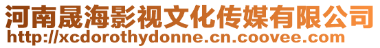 河南晟海影視文化傳媒有限公司