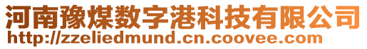 河南豫煤數(shù)字港科技有限公司