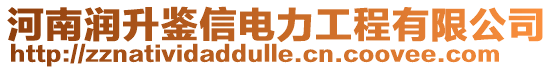 河南潤升鑒信電力工程有限公司