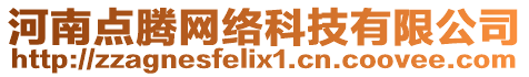 河南點(diǎn)騰網(wǎng)絡(luò)科技有限公司