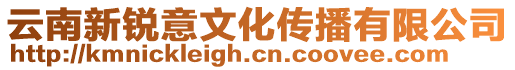 云南新銳意文化傳播有限公司