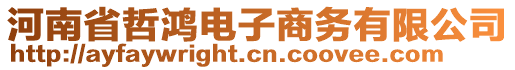 河南省哲鴻電子商務(wù)有限公司