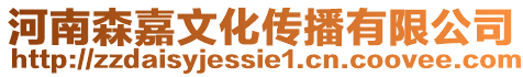 河南森嘉文化傳播有限公司