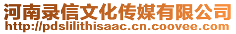 河南錄信文化傳媒有限公司