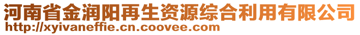 河南省金潤(rùn)陽(yáng)再生資源綜合利用有限公司