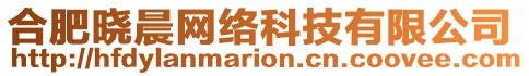 合肥曉晨網絡科技有限公司