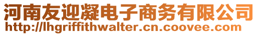 河南友迎凝電子商務有限公司