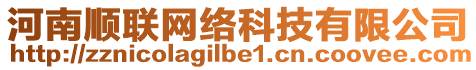 河南順聯(lián)網(wǎng)絡(luò)科技有限公司