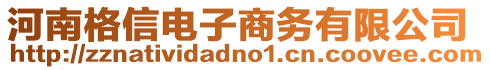 河南格信電子商務有限公司