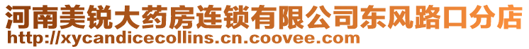 河南美銳大藥房連鎖有限公司東風路口分店