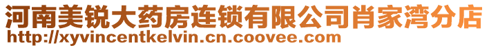 河南美銳大藥房連鎖有限公司肖家灣分店