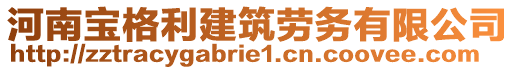 河南寶格利建筑勞務(wù)有限公司