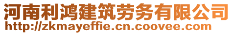 河南利鴻建筑勞務(wù)有限公司