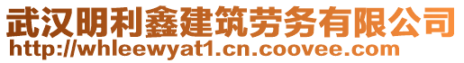 武漢明利鑫建筑勞務(wù)有限公司