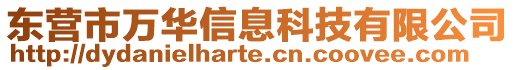 東營市萬華信息科技有限公司