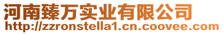 河南臻萬實業有限公司
