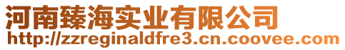 河南臻海實業有限公司