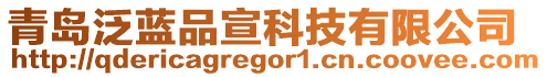 青島泛藍(lán)品宣科技有限公司