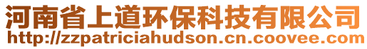 河南省上道環(huán)保科技有限公司