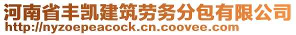 河南省豐凱建筑勞務(wù)分包有限公司