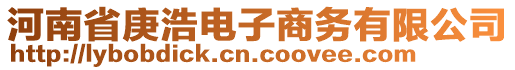 河南省庚浩電子商務(wù)有限公司