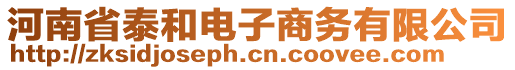 河南省泰和電子商務(wù)有限公司