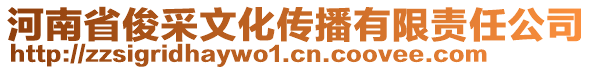 河南省俊采文化傳播有限責任公司