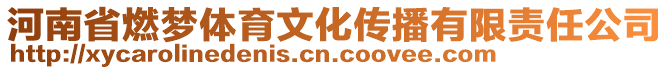 河南省燃夢體育文化傳播有限責任公司