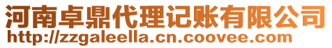 河南卓鼎代理記賬有限公司