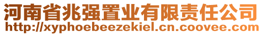 河南省兆強置業(yè)有限責(zé)任公司