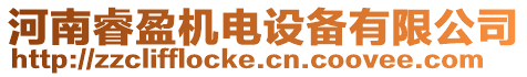 河南睿盈機(jī)電設(shè)備有限公司