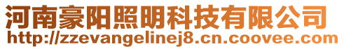 河南豪陽照明科技有限公司