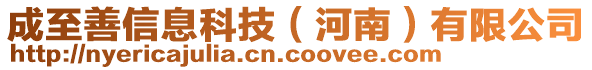 成至善信息科技（河南）有限公司