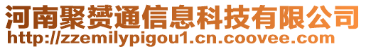 河南聚赟通信息科技有限公司