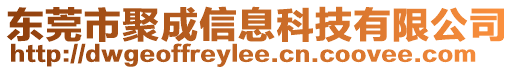 東莞市聚成信息科技有限公司