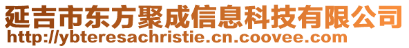 延吉市東方聚成信息科技有限公司