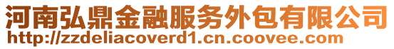 河南弘鼎金融服務(wù)外包有限公司