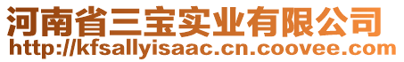 河南省三寶實業(yè)有限公司