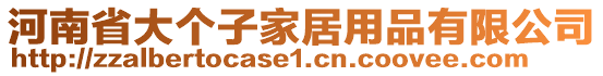 河南省大個子家居用品有限公司