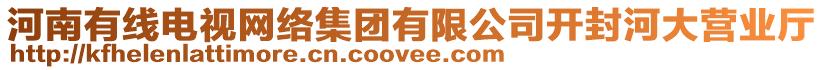 河南有線電視網(wǎng)絡(luò)集團(tuán)有限公司開(kāi)封河大營(yíng)業(yè)廳