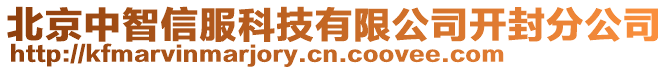 北京中智信服科技有限公司開封分公司