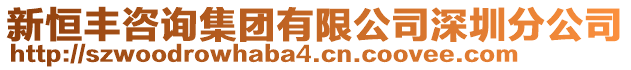 新恒豐咨詢集團有限公司深圳分公司