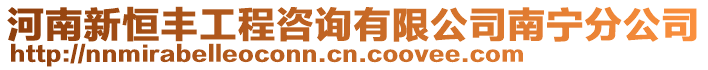 河南新恒豐工程咨詢有限公司南寧分公司