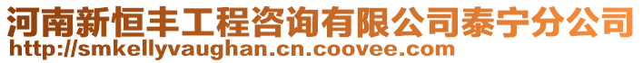 河南新恒豐工程咨詢有限公司泰寧分公司