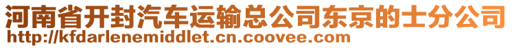 河南省開封汽車運(yùn)輸總公司東京的士分公司