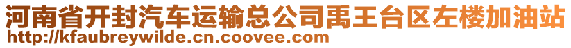 河南省開封汽車運(yùn)輸總公司禹王臺(tái)區(qū)左樓加油站